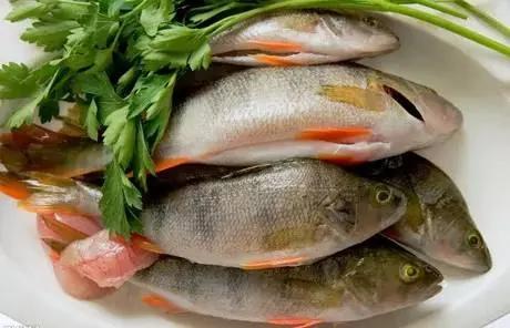 霉味 烟味 腥味 臭味……各种异味去除法