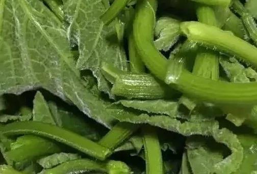 一款不起眼的绿色青菜,比肉还好吃哦!