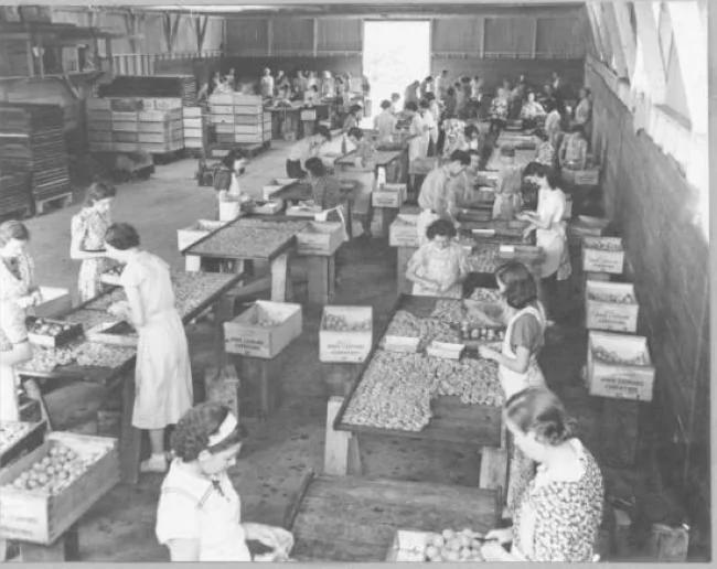 罕见老照片:100年前的硅谷是这样的