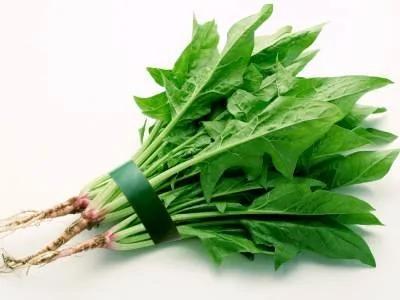 沒想到这菜堪比“强心剂”!但很多人都忽略它