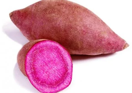 紫薯是食物中的抗癌明星。（网络图片）