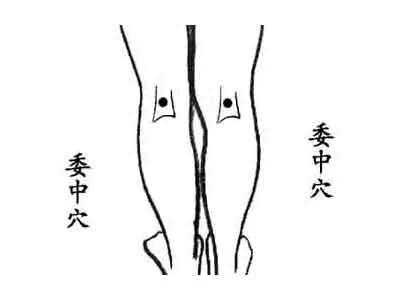 教父母多揉五个穴位,帮助预防老年痴呆!