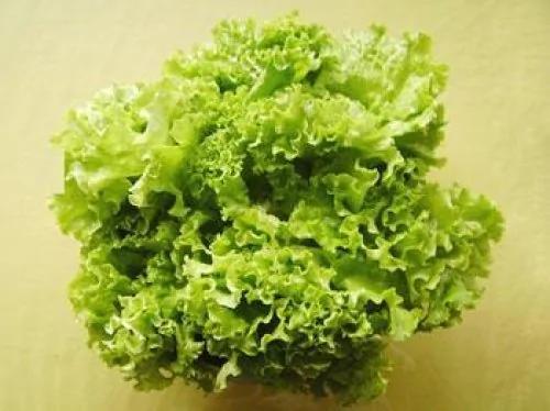 一味菜一味药!这8种蔬菜的神奇疗效