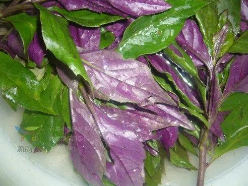 一味菜一味药!这8种蔬菜的神奇疗效