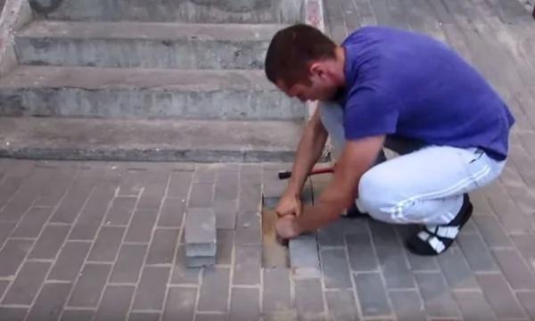 地砖下传来虚弱哀嚎声 用工具撬开后发现…