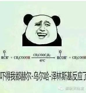 印度学霸梦见3900个公式，一夜成最伟大数学家