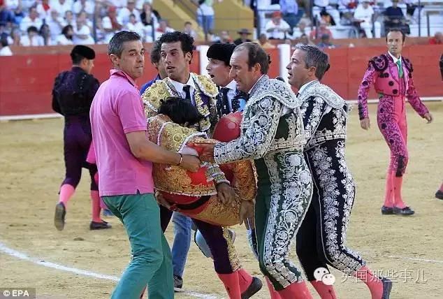 慎入!30年来首位死在斗牛场上的斗牛士