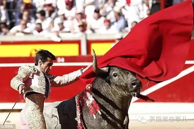 慎入!30年来首位死在斗牛场上的斗牛士