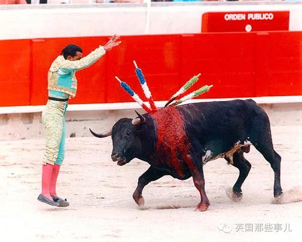 慎入!30年来首位死在斗牛场上的斗牛士