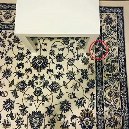 神隐!她的手机掉地毯“撞衫”13万人盯着屏幕找