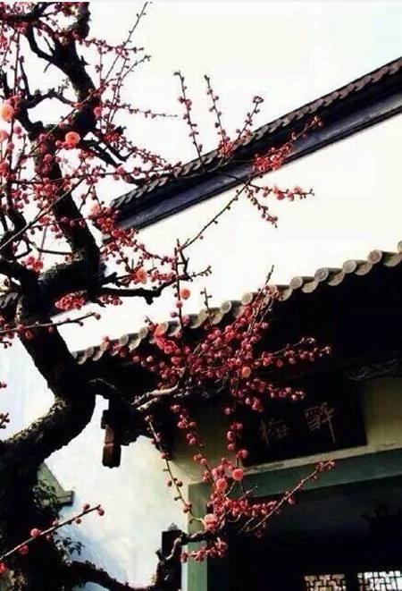 原来 古人的住 这样有气质
