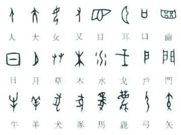 神奇汉字开发智商,越早学越聪明!