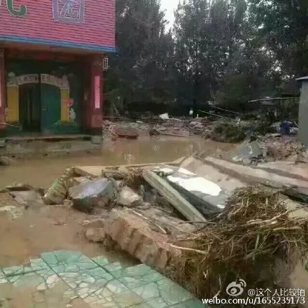 邢台網民上傳照片顯示，水庫泄洪後村里一片狼藉。（網絡圖片）