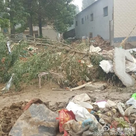 邢台村庄洪水过后的景象。（网络图片）