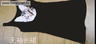 衣服最好这样叠,后悔没有早知道!GIF