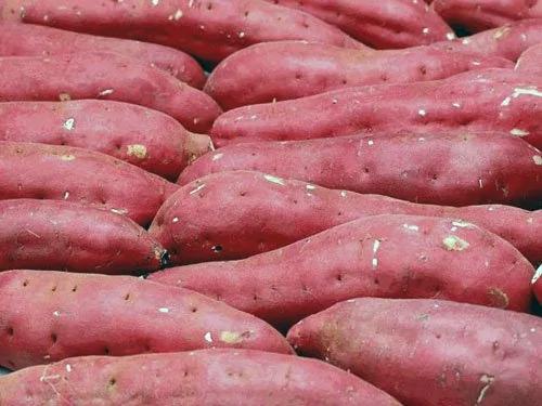 抗癌食物大盘点