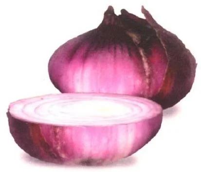 抗癌食物大盘点