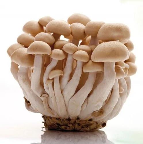 抗癌食物大盘点