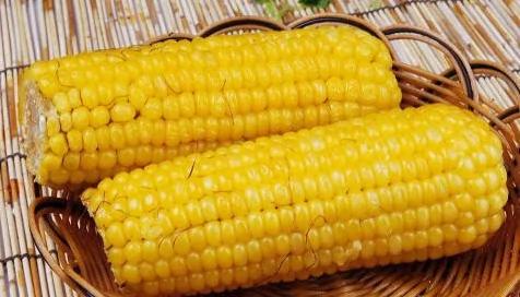 抗癌食物大盘点