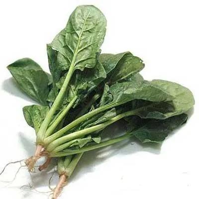 抗癌食物大盘点