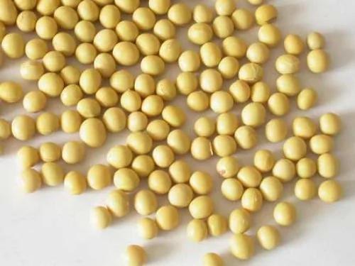 抗癌食物大盘点