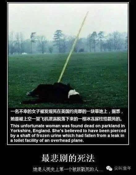飞机火车轮船上的“便便”排哪儿去了?你也绝对想不到!?