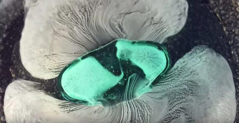 药片在胃中原来是这样溶解的 特写画面…太奇妙了!