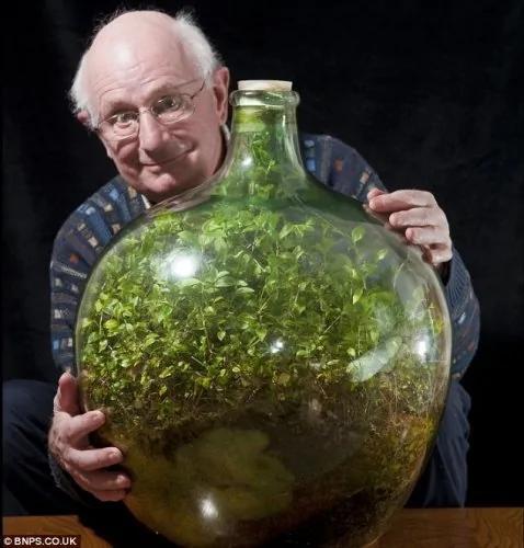 密封瓶中种的植物已存活40多年!