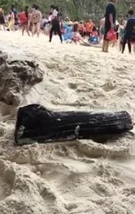 正义姊看不下去“什么都要带走”的陆客,终于使出超猛COMBO!