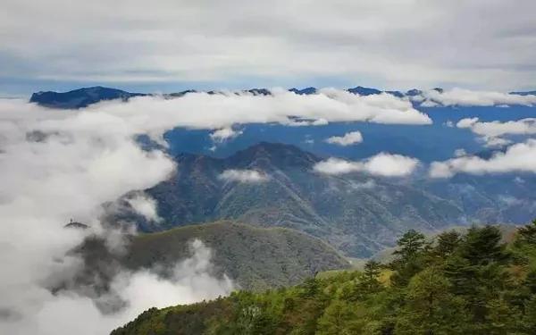 美过张家界九寨沟 中国又一个世界遗产诞生