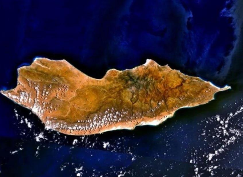 地球上的“外星”:这里生长着2000万年前的植物