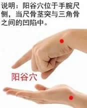 轻松延寿只需按1个不老穴