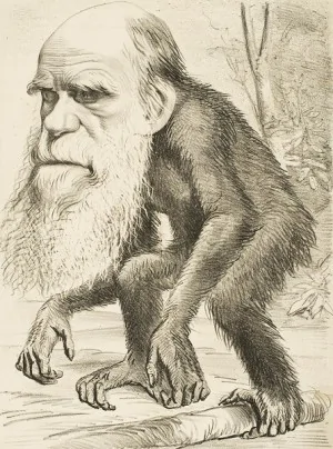 達爾文的進化論至今仍是一個假說。(圖片來源﹕維基)