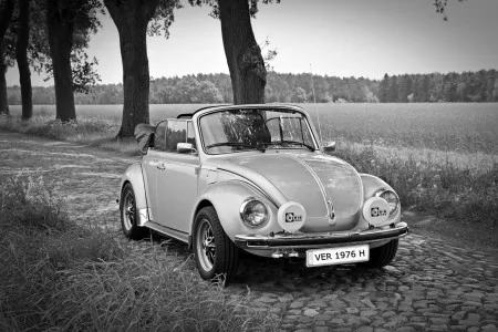 德國大眾的甲殼蟲轎車（pixabay）