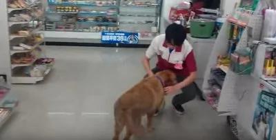 狗狗走进便利店 谁也没想到它竟然是要⋯太聪明了!
