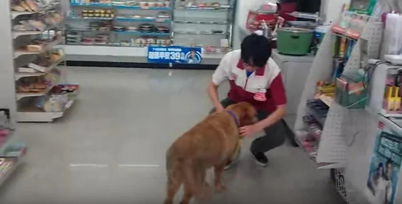 狗狗走进便利店 谁也没想到它竟然是要⋯太聪明了!
