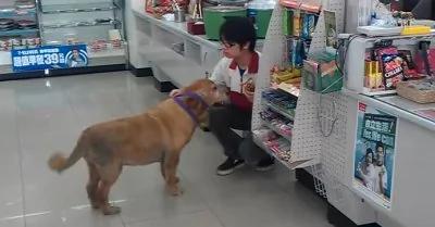 狗狗走进便利店 谁也没想到它竟然是要⋯太聪明了!