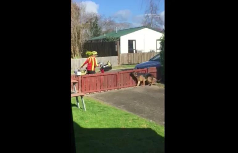 德国狼犬看起来很凶猛,但这位邮差的出现却让主人心暖到说不出话!