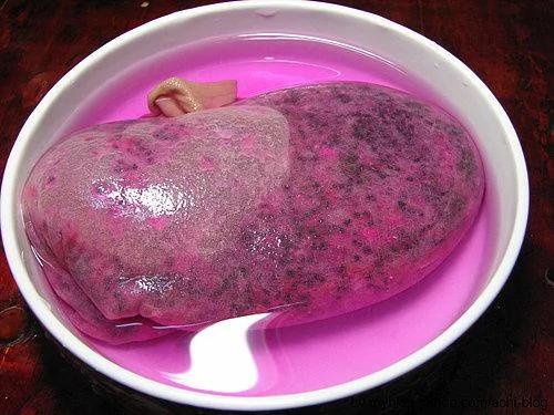 吃過的水果籽不要丟 做成杯中的小森林吧