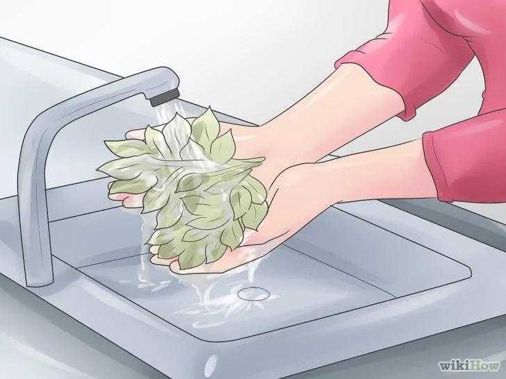 如何弄干叶子并用于装饰工艺品