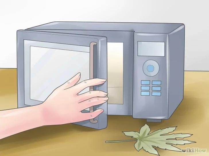 如何弄干叶子并用于装饰工艺品