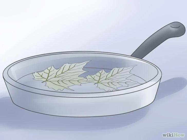 如何弄干叶子并用于装饰工艺品