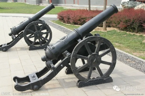 郑州炮校的两门大炮。（网络照片）