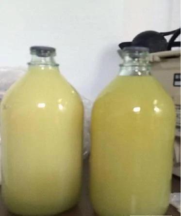 深圳男子血脂高 抽出的血成白色液体