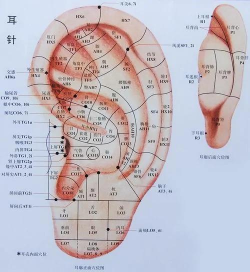 按揉此穴位有吃“养生丹”的功效,男女老幼皆宜