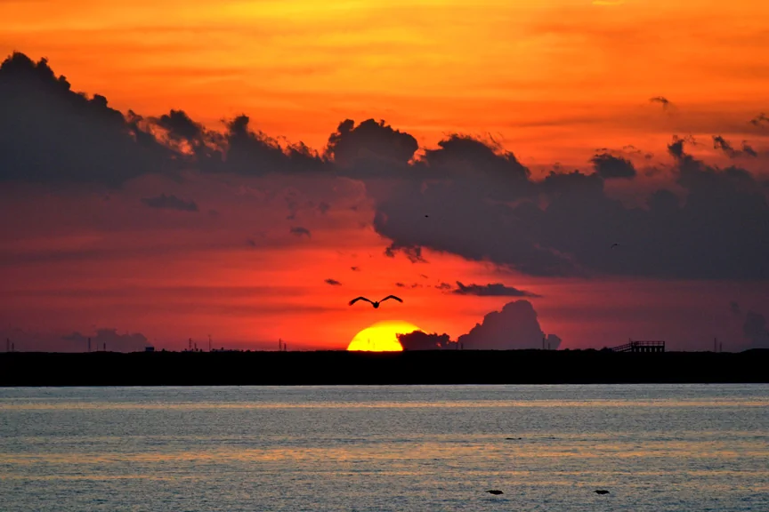 “中南海 sunset”的图片搜索结果