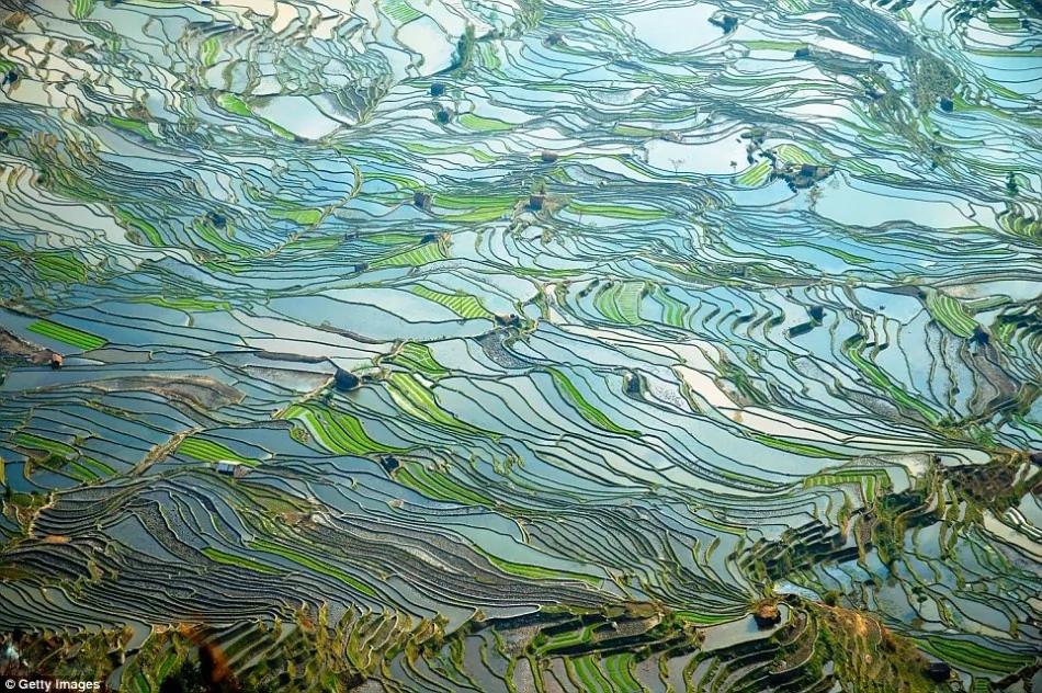中国震撼美景:从漓江上的鸬鹚捕鱼到元阳梯田