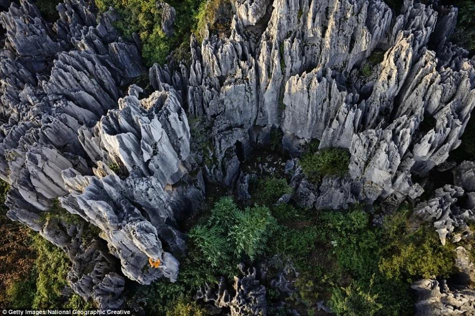 中国震撼美景:从漓江上的鸬鹚捕鱼到元阳梯田