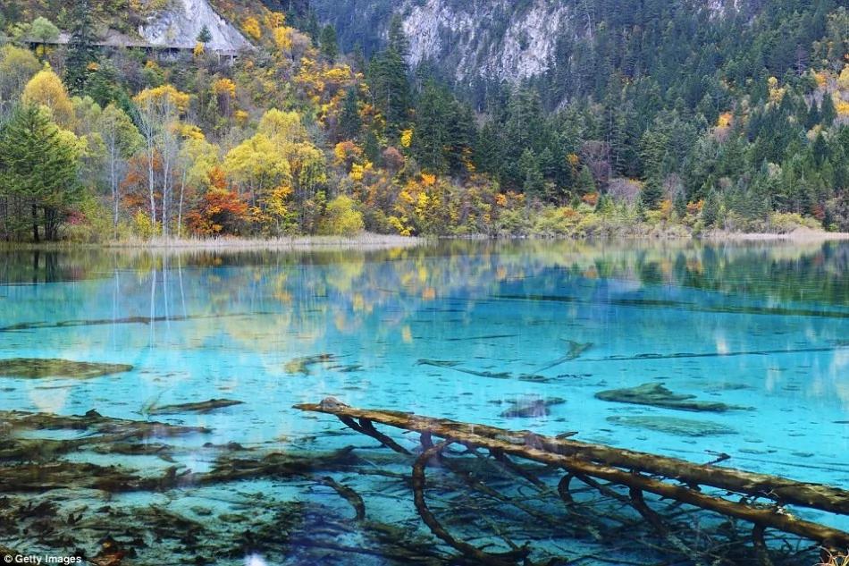 中国震撼美景:从漓江上的鸬鹚捕鱼到元阳梯田