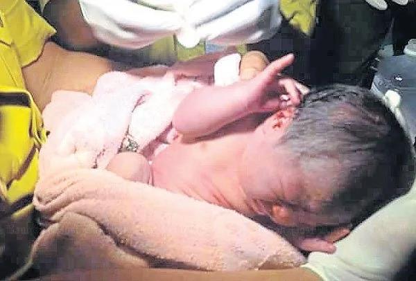 流浪狗争食弃婴 好在母犬怒吼救回一命